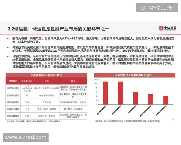 深圳足球队耐力分析与比赛表现的深度探讨与反思 深圳足球队耐力分析与比赛表现的深度探讨与反思