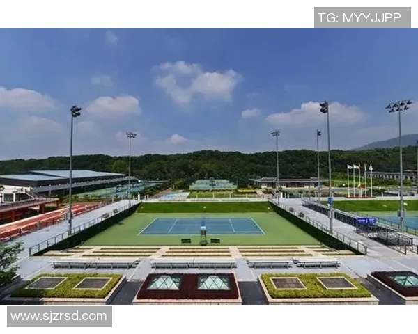 北京网球队比赛经验分析与表现评估的综合研究报告 北京网球队比赛经验分析与表现评估的综合研究报告