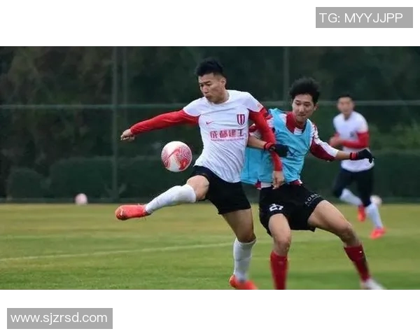 成都篮球队配合变革引发热议球迷期待新战术带来的精彩表现