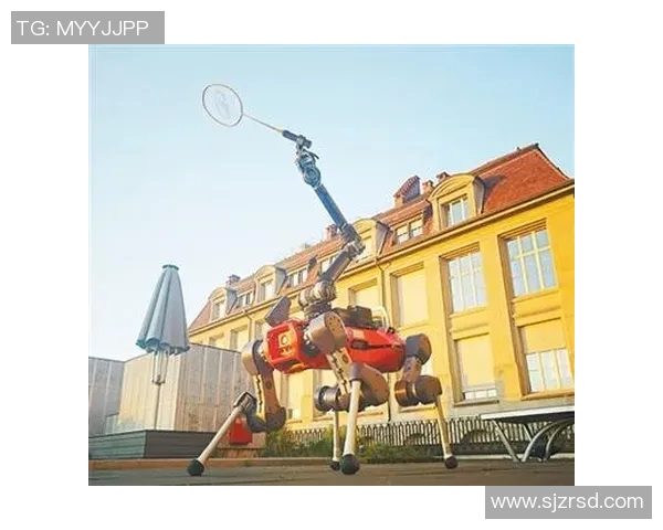 科学羽毛球训练:提升灵活性的创新方法与实用技巧分享 科学羽毛球训练:提升灵活性的创新方法与实用技巧分享