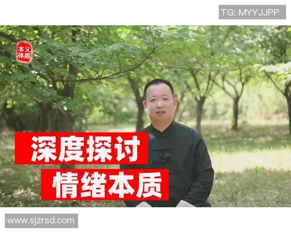 西安乒乓球队灵活性引发热议球员表现与战术选择的深度探讨